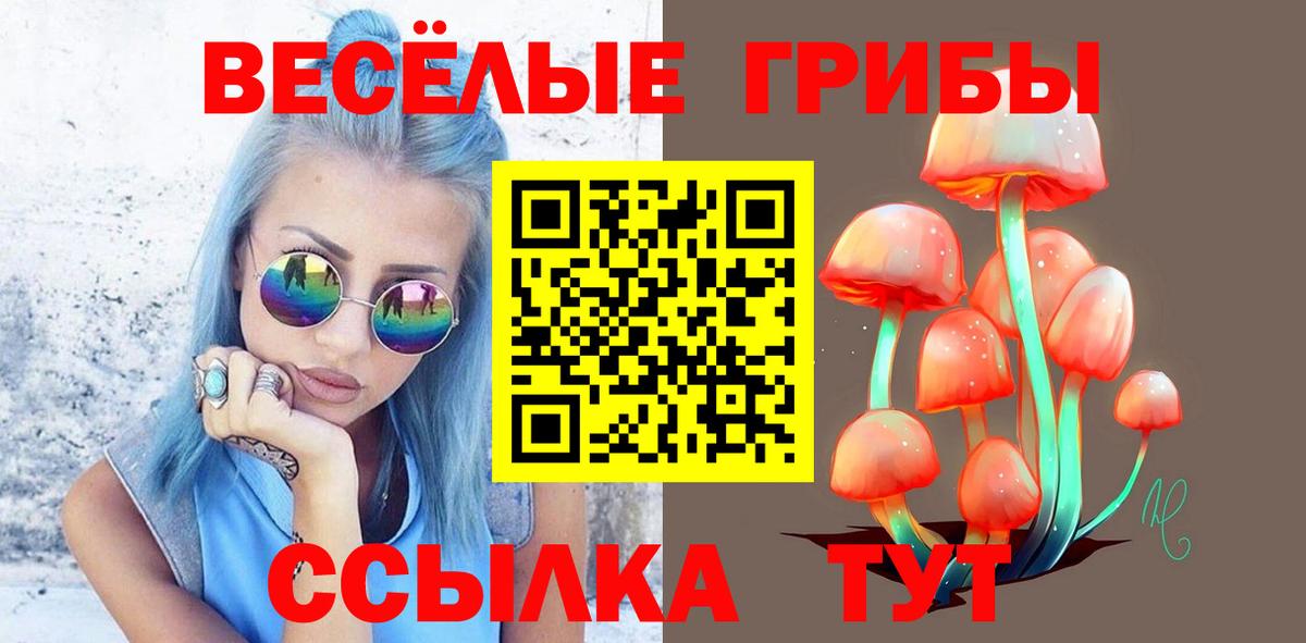 Псилоцибиновые грибы Psilocybe  Вход с VPN  Дальнегорск  Галлюциногенные грибы MAGIC MUSHROOMS 