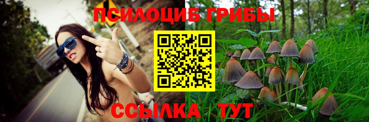 Псилоцибиновые грибы ЛСД Дальнегорск
